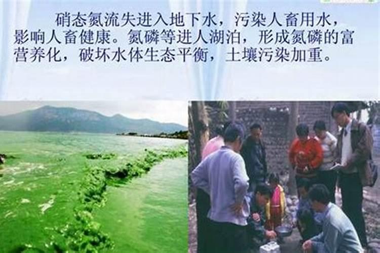 肥效最差的氮肥是什么