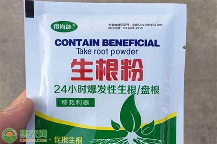 生根用什么肥