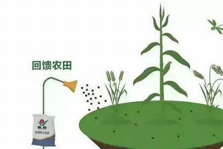 腐殖酸类肥料在使用的时候,应该注意什么？