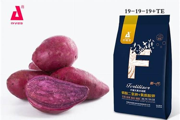 地瓜肥料正确使用方法