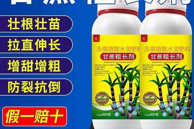 微生物菌剂叶面肥用在甘蔗上可以吗