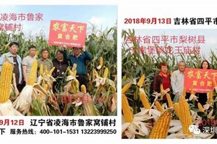 水溶肥和复合肥哪个好