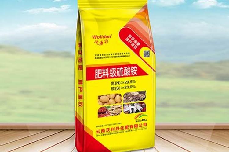 如何让荔枝秋梢快速老熟？