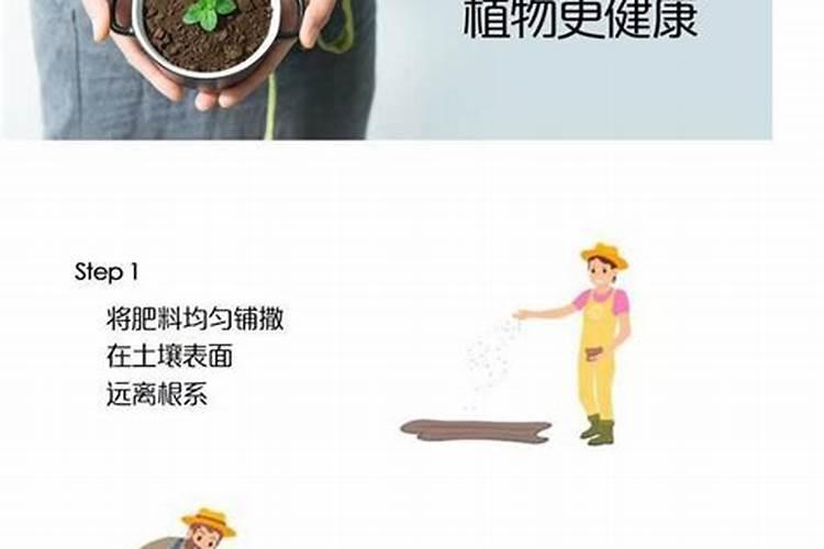 要处理放臭的鱼,简单的三个步骤是啥