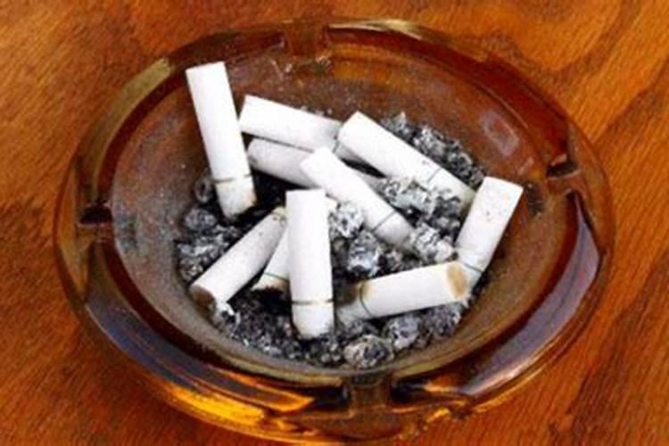 烟灰可以当肥料养花  烟灰浇花正确方法