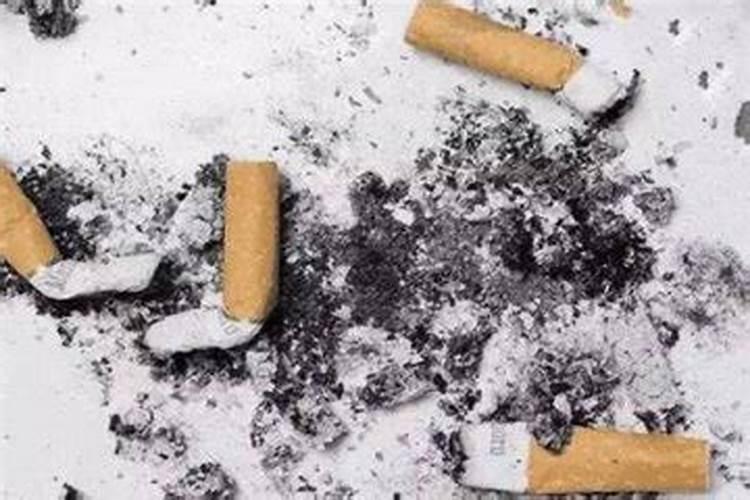 烟灰能做花肥吗 烟灰可以当肥料养花