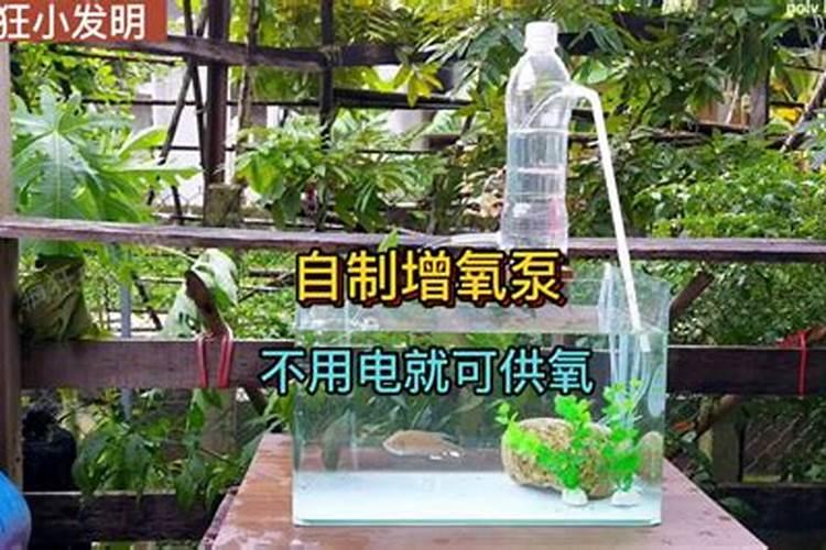 黄腐酸钾可以和鱼蛋白混冲施吗