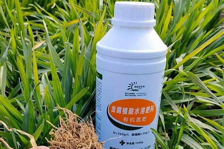 小麦施肥的几个技巧