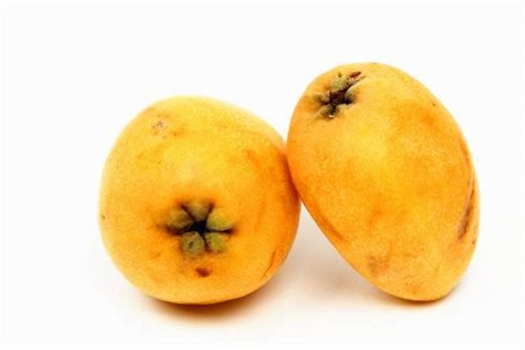 枇杷施肥用什么最好