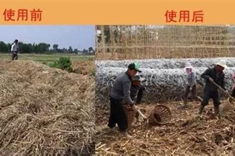 提高肥料利用率的施肥措施有哪些？