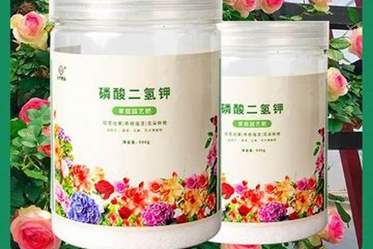 追肥使用磷酸二氢钾,属于叶面肥吗？磷肥怎么用效果好