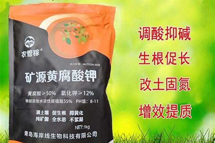 水养富贵竹施什么肥？