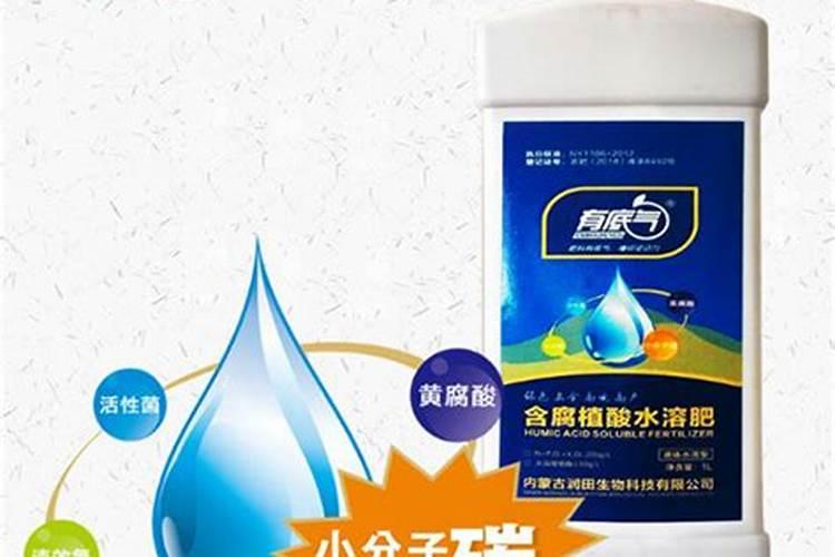 黄瓜水溶肥料料厂家哪个好？真实案例告诉你