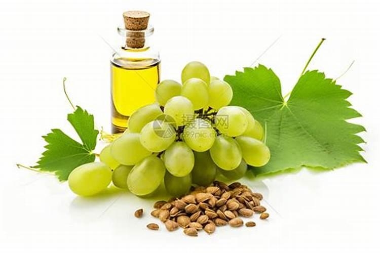 葡萄种子是怎么种植的？谁能仔细的给我讲解一下？谢谢