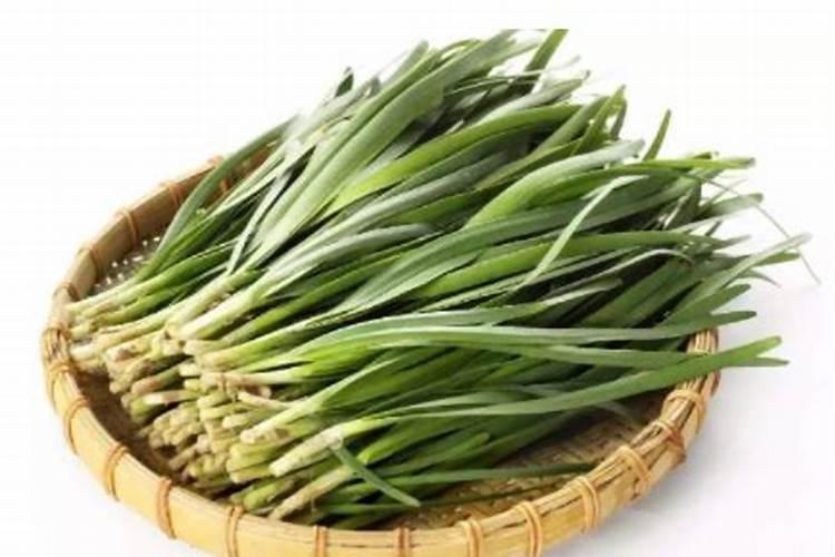 玉米专用叶面肥什么牌子好