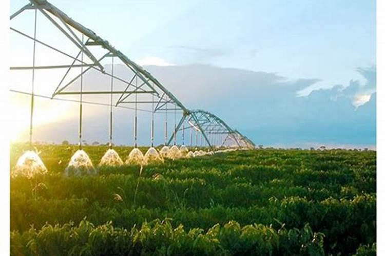 二氧化碳可以作为是气体肥料吗