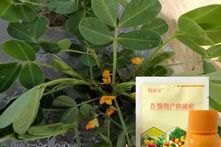 尿素当叶面肥使用方法