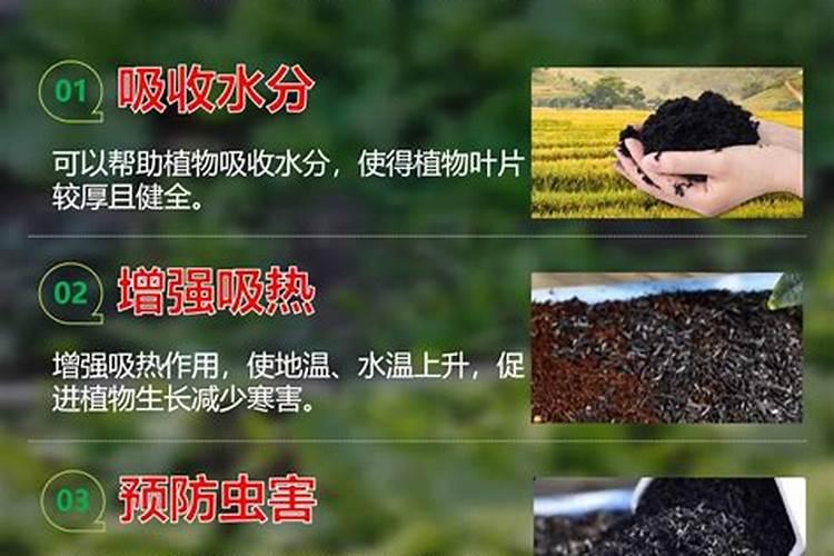 石榴树最怕什么农药 石榴树最怕农药和施肥时期