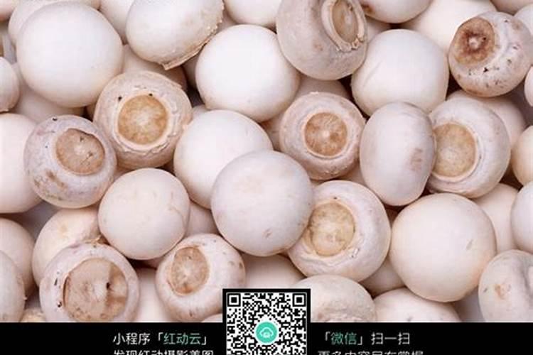 硝酸铵钙含硝酸铵吗