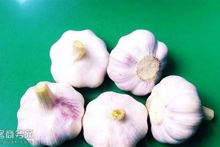 番茄田间栽培管理,需要在什么时候浇水？常用的方法有哪些？