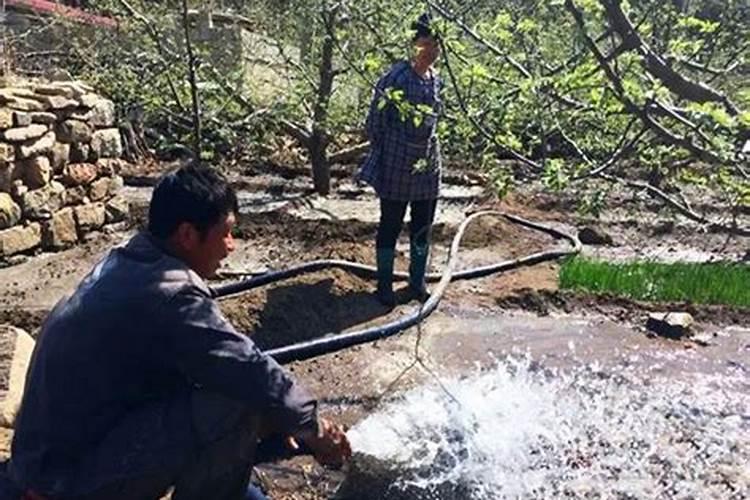什么是磷肥 天然的磷钾肥有哪些