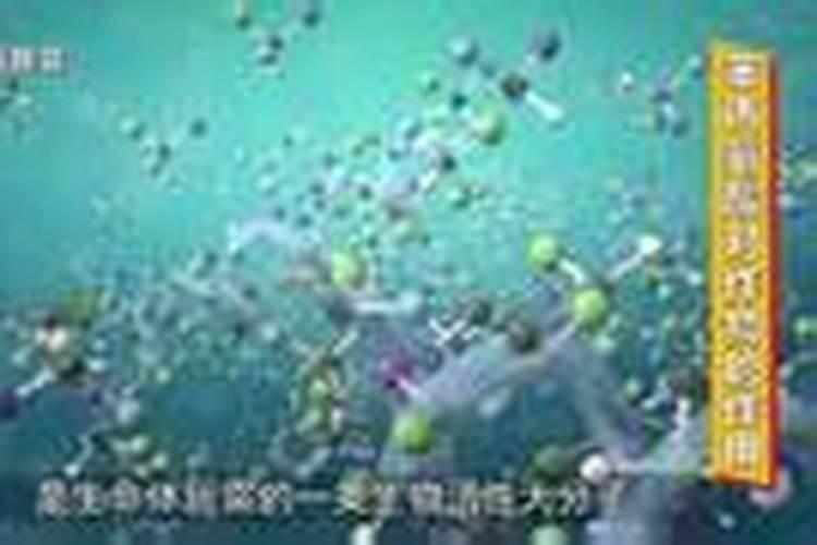 哈密瓜是早上授粉好还是下午授粉好？