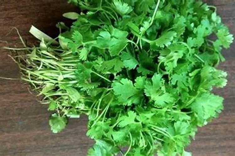 凉拌紫包菜怎么做好吃