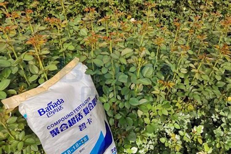 大量元素水溶肥料多少钱一要几天才能配土