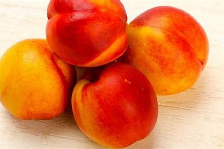 油桃种植用什么肥料可使果实更硬更甜