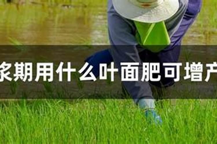 水稻硼肥的作用及使用方法