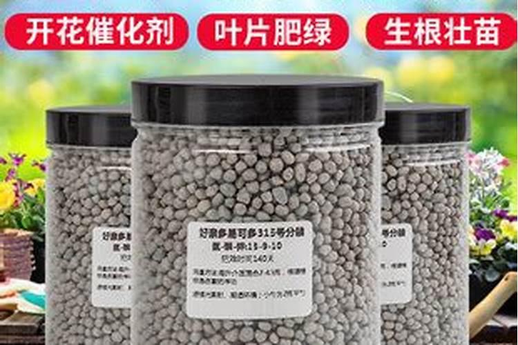 好康多哪个型号养兰花好