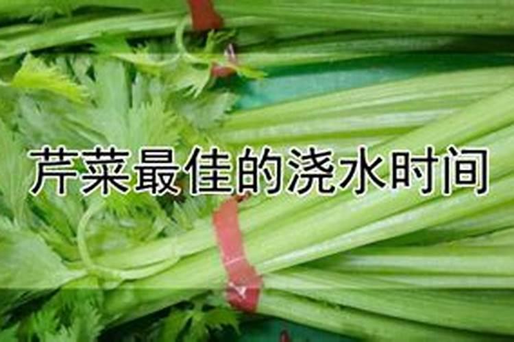 芹菜间苗后冲什么肥料