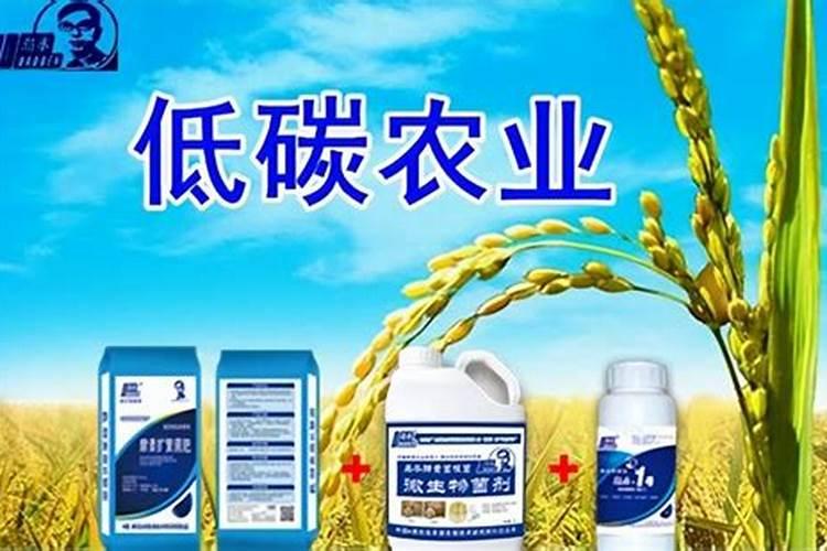 水溶肥是什么肥料 水溶性肥料的优缺点有哪些