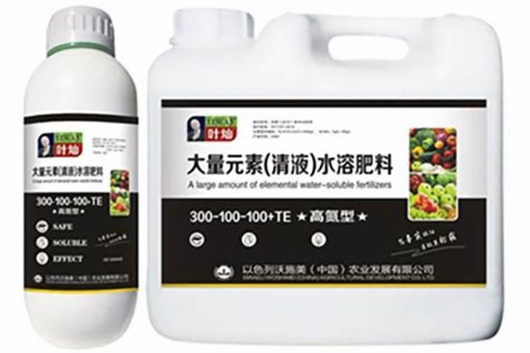 大杉木树应该施什么肥料