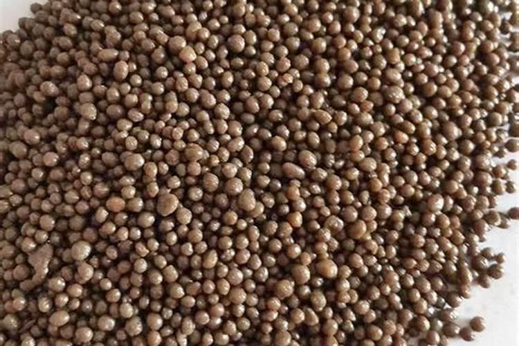 氮肥可溶于水吗