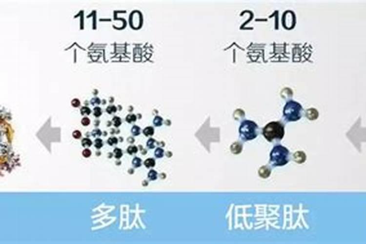 中化聚和肽复合肥怎么样
