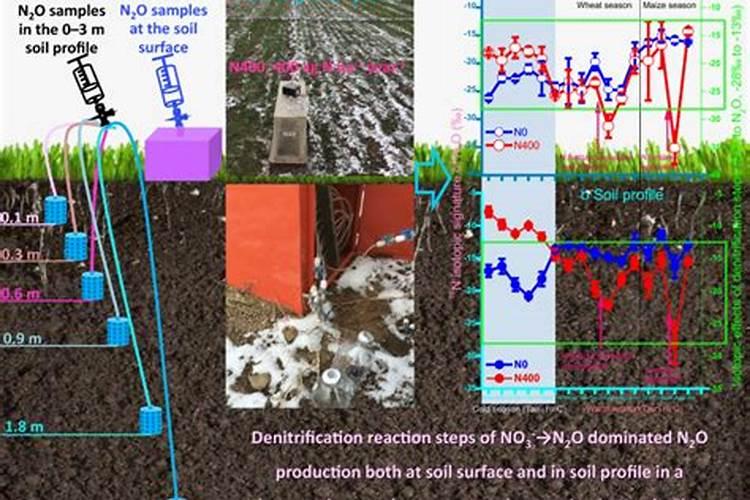 玉米复合肥最佳配方,和小麦复合肥有什么区别