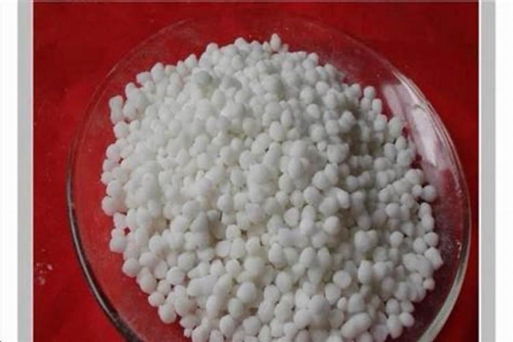 无花果树冲施什么肥料好？