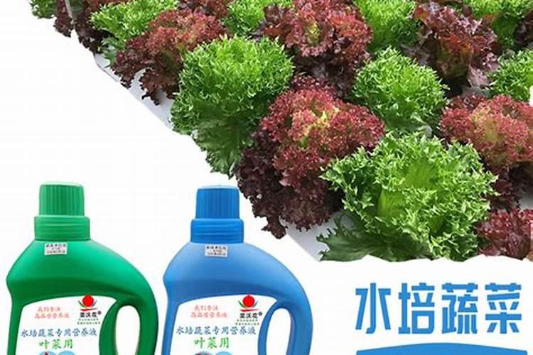 水溶肥排名前十位的有哪些品牌