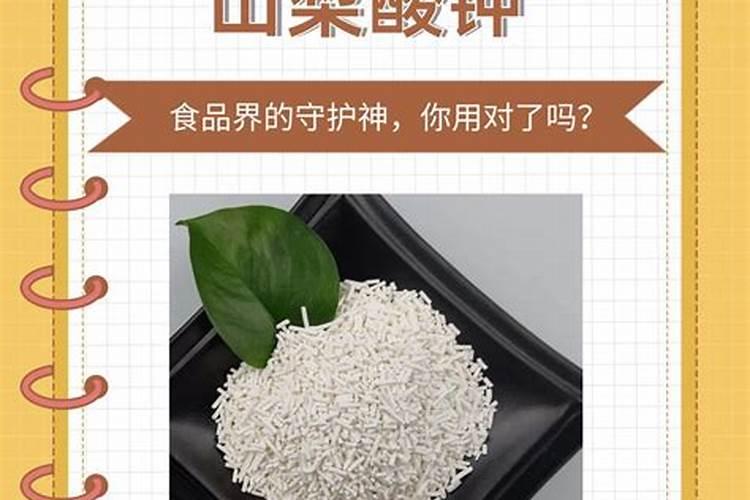 兰花什么时候施肥最好,兰花施肥用什么肥最好(氮磷钾肥)