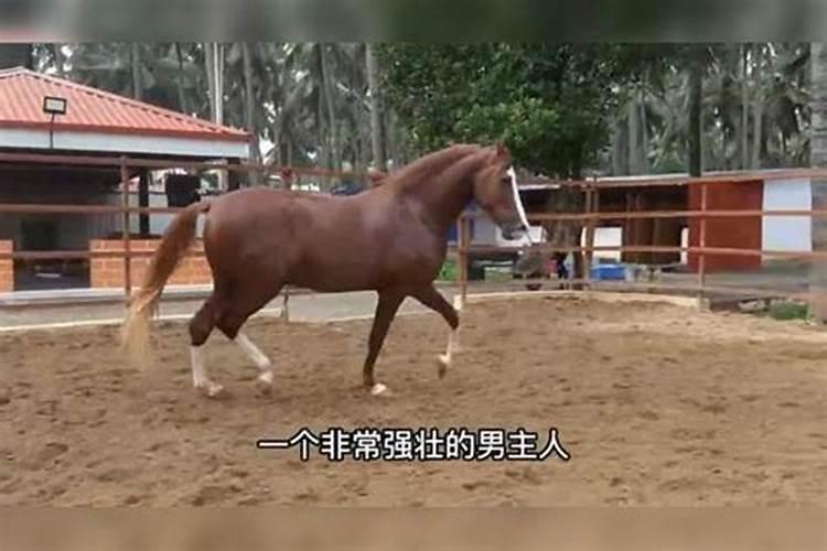 世界上最小的国家排名