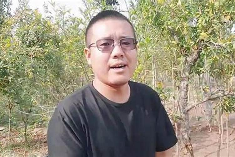 冬季石榴树施肥方法 冬季石榴树如何施肥