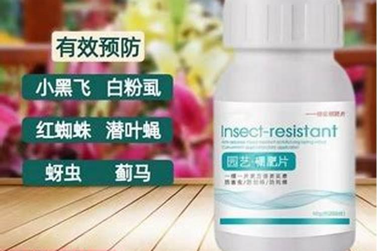 花的有机肥怎么使用效果好？了解种花有机肥料都有哪些