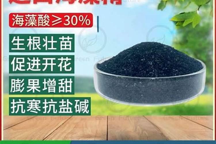 海藻肥怎么用