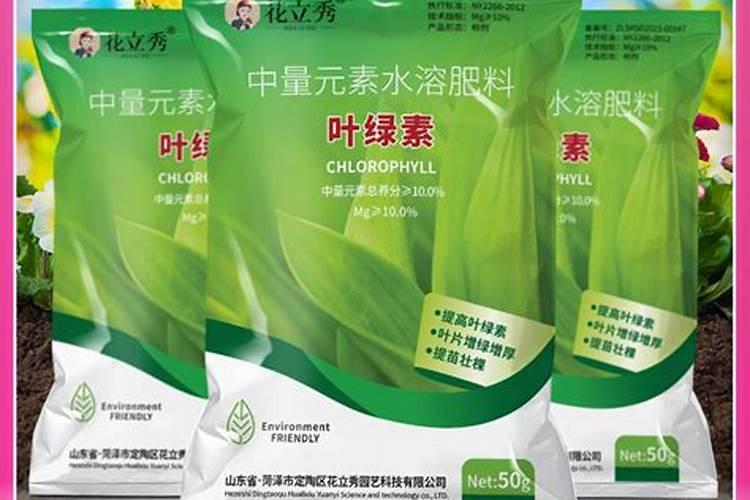 豆子能变成什么肥料呢？