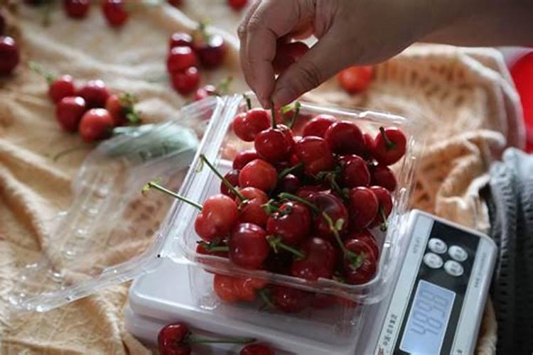 大棚樱桃水肥管理