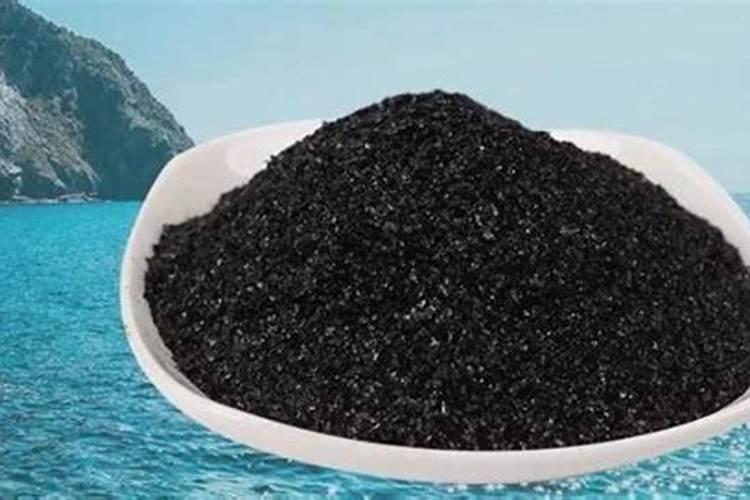 海藻肥适合什么植物施用!效果怎么样？