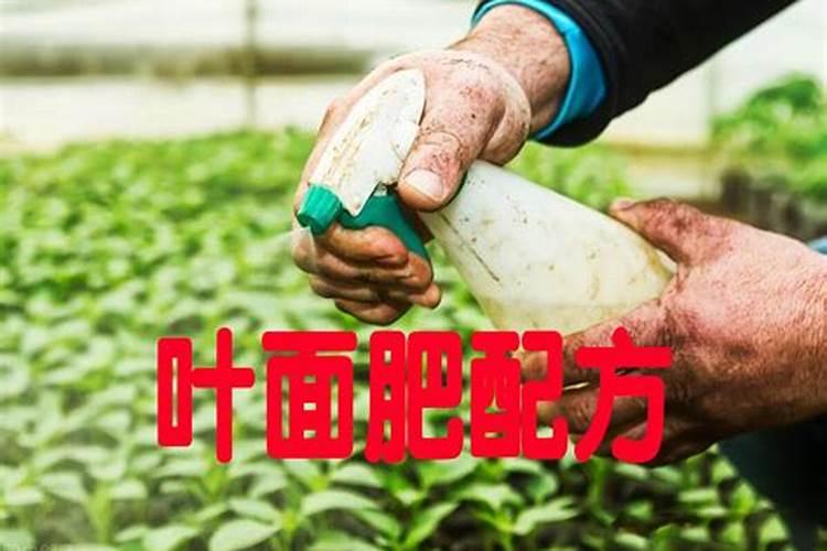 磷酸二氢钾适合哪些植物？