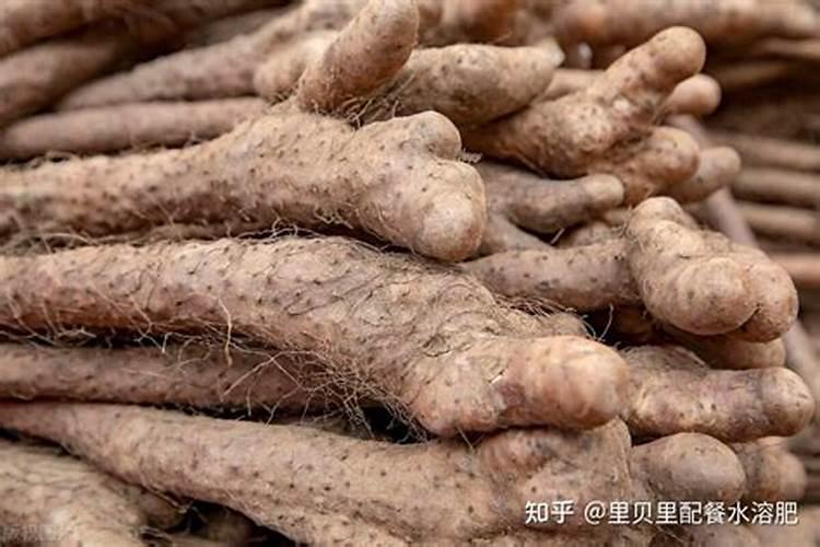 山药用什么办法增粗