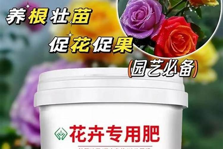 一般的花草植物上什么肥最好 花卉肥料有哪些